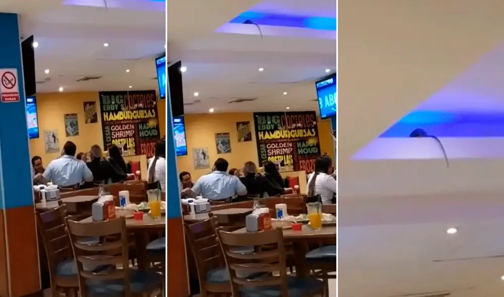 Usuarios en redes compararon a la rata con el personaje de Disney, Ratatouille. Foto: composición LR/captura de TikTok/@Josetapia Usuarios en redes compararon a la rata con el personaje de Disney, Ratatouille. Foto: composición LR/captura de TikTok/@Josetapia