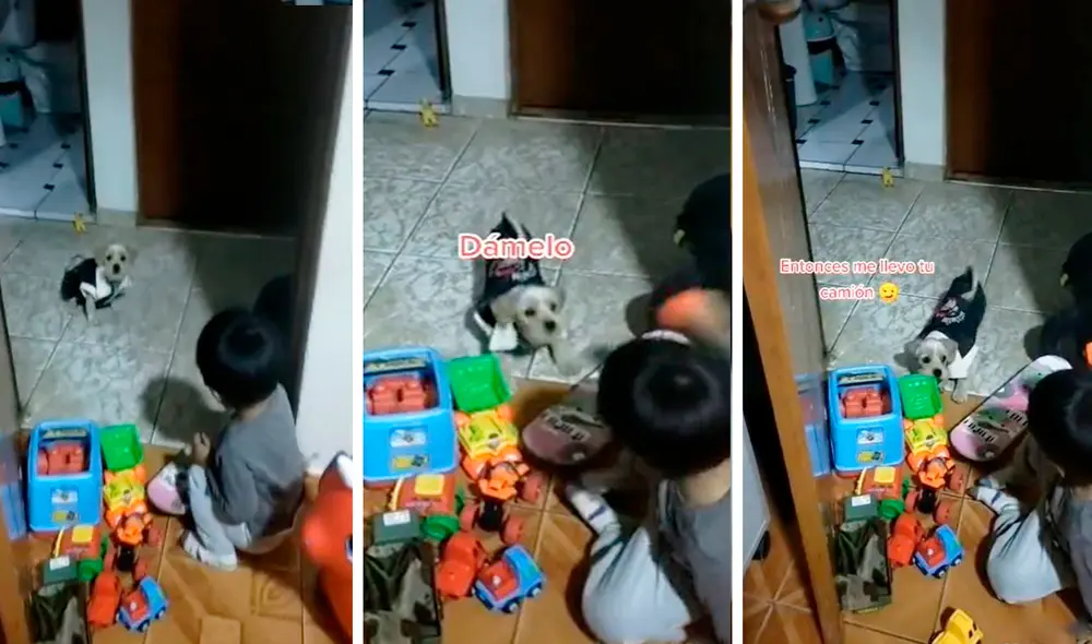 Una madre grabó el divertido momento que protagonizaron su hijo y la mascota, quienes se enfrentaron por unos juguetes. Foto: composición LR/TikTok/@lizzyrosablog Una madre grabó el divertido momento que protagonizaron su hijo y la mascota, quienes se enfrentaron por unos juguetes. Foto: composición LR/TikTok/@lizzyrosablog