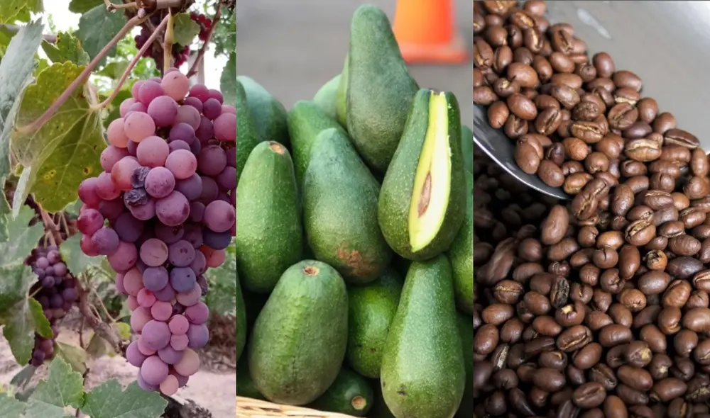 Solo en el mes de junio las exportaciones agrarias sumaron US$ 644 millones, monto que representó un crecimiento de 7,9% en comparación al 2021. Foto: composición LR/Revisar Sommelier/Andina/Senasa