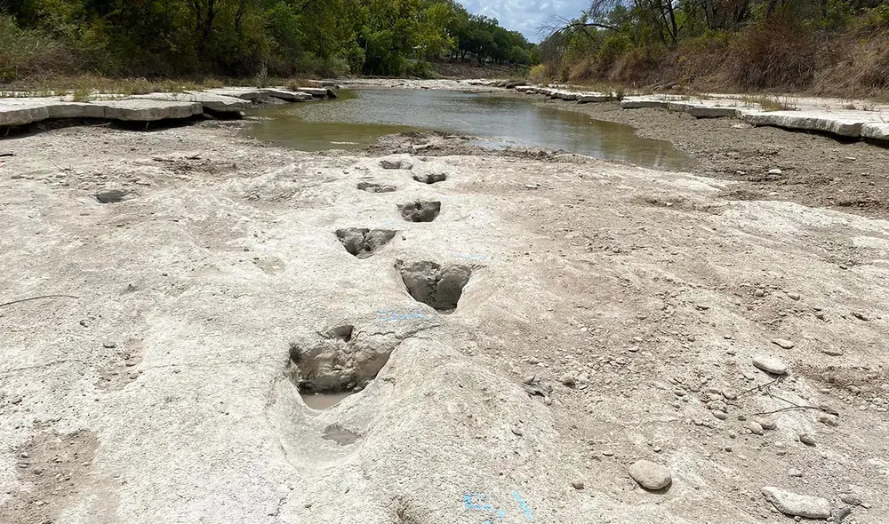 Los funcionarios de Texas informaron que la mayoría de las huellas pertenecen al Acrocanthosaurus. Foto: AFP