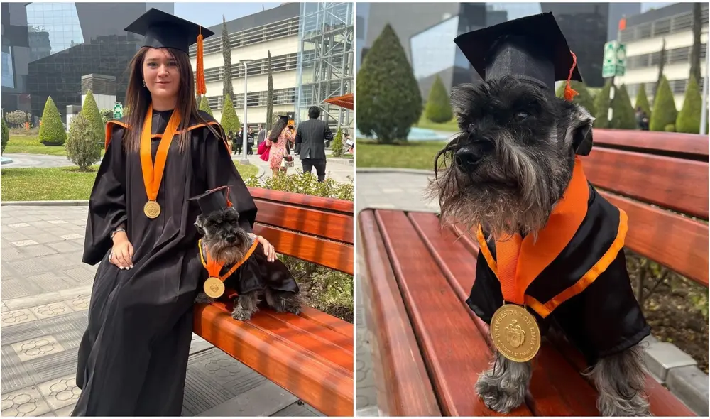 El video viral suma más de 245.000 visualizaciones en TikTok. Foto: composición LR/@suna_yana5/Instagram El video viral suma más de 245.000 visualizaciones en TikTok. Foto: composición LR/@suna_yana5/Instagram