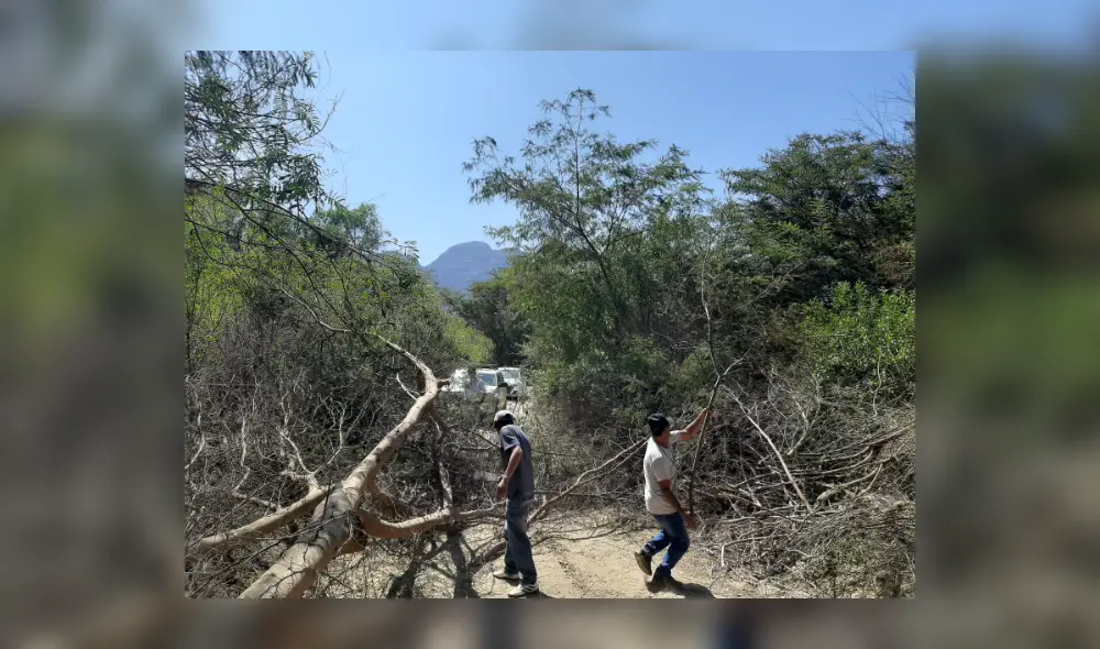 La Defensoría del Pueblo señaló que urge para que las vías no sean cerradas e impidan el tránsito vehicular y peatonal. Foto: Defensoría del Pueblo