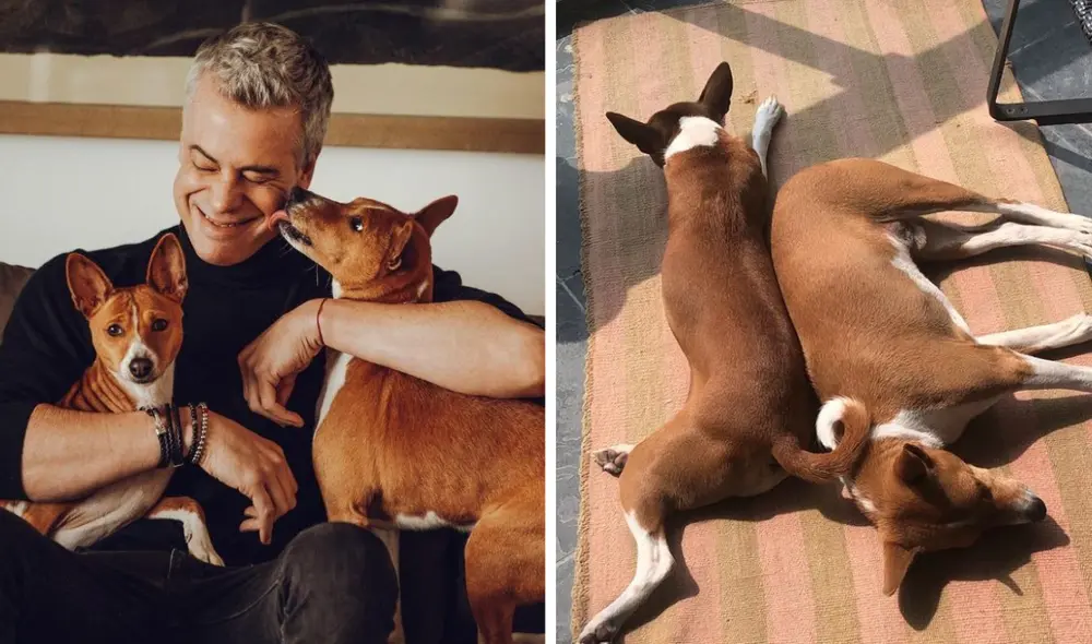 Diego Bertie vivía en su departamento de Miraflores junto a sus perros Kali y Lua: Foto: Composición LR / Instagram diegobertie