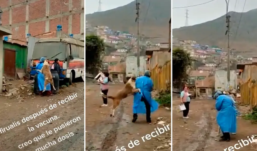 El perrito no resistió demostrar el gran amor que sintió hacia sus vacunadoras. Foto: composición LR/captura de TikTok/@Omarcastillo2990