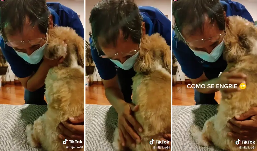 El llanto del perrito conmovió a miles de seguidores en redes sociales. Foto: composición LR/captura de TikTok/@Mijail.Ro91 El llanto del perrito conmovió a miles de seguidores en redes sociales. Foto: composición LR/captura de TikTok/@Mijail.Ro91