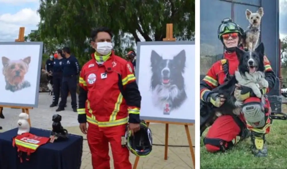 El asesinato de Athos y Tango generó un gran movimiento social en México. Foto: composición LR/Cruz Roja Queretaro/Edgar Martínez El asesinato de Athos y Tango generó un gran movimiento social en México. Foto: composición LR/Cruz Roja Queretaro/Edgar Martínez