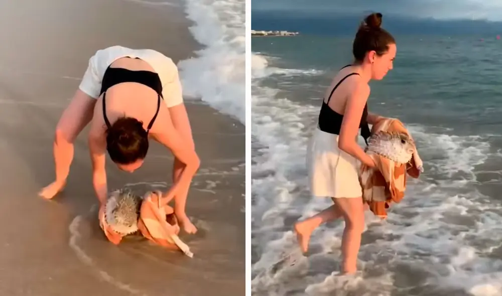 Mientras caminaba por una playa, la mujer detuvo de forma rápida para auxiliar al pez globo que era golpeado por las olas. Foto: composición LR/YouTube/Clarín Mientras caminaba por una playa, la mujer detuvo de forma rápida para auxiliar al pez globo que era golpeado por las olas. Foto: composición LR/YouTube/Clarín