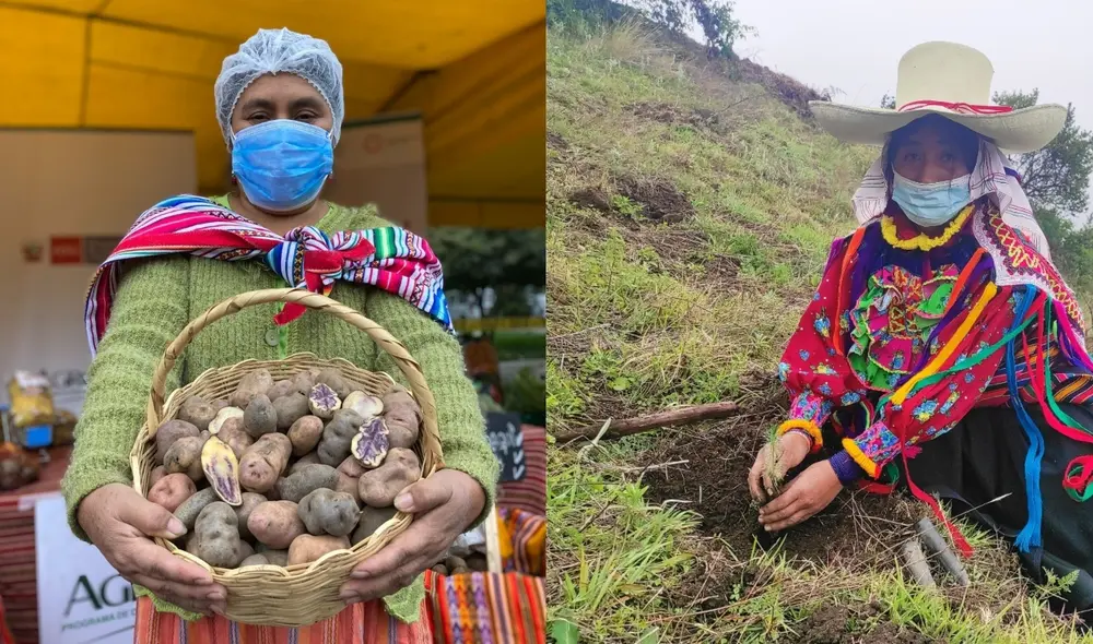 Mujeres emprendedoras podrán acceder a subvenciones entre S/ 23.000 a S/ 69.000. Foto: composición LR/Agro Rural Mujeres emprendedoras podrán acceder a subvenciones entre S/ 23.000 a S/ 69.000. Foto: composición LR/Agro Rural