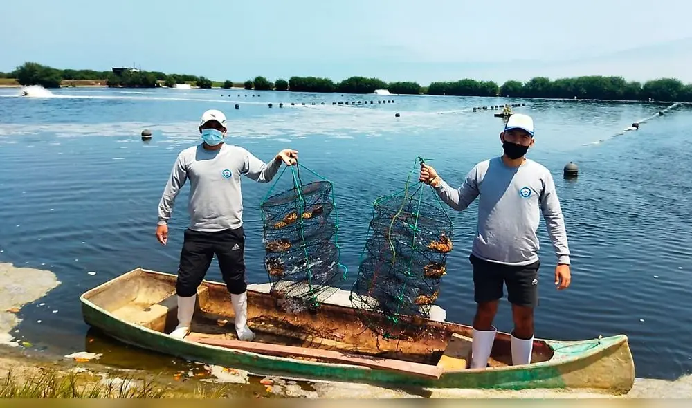 Proyectos de innovación acuícola se promueve en región fronteriza de Tumbes. Foto: Produce.