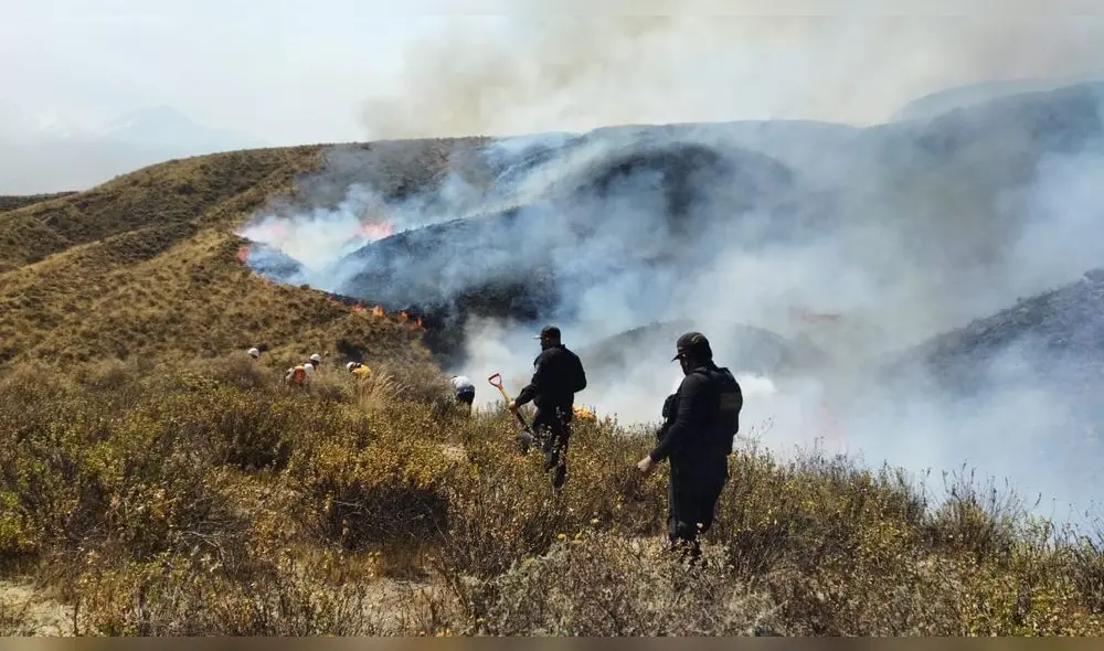 Daño. El incendio devora flora y fauna que habita el volcán. Foto: Serfor