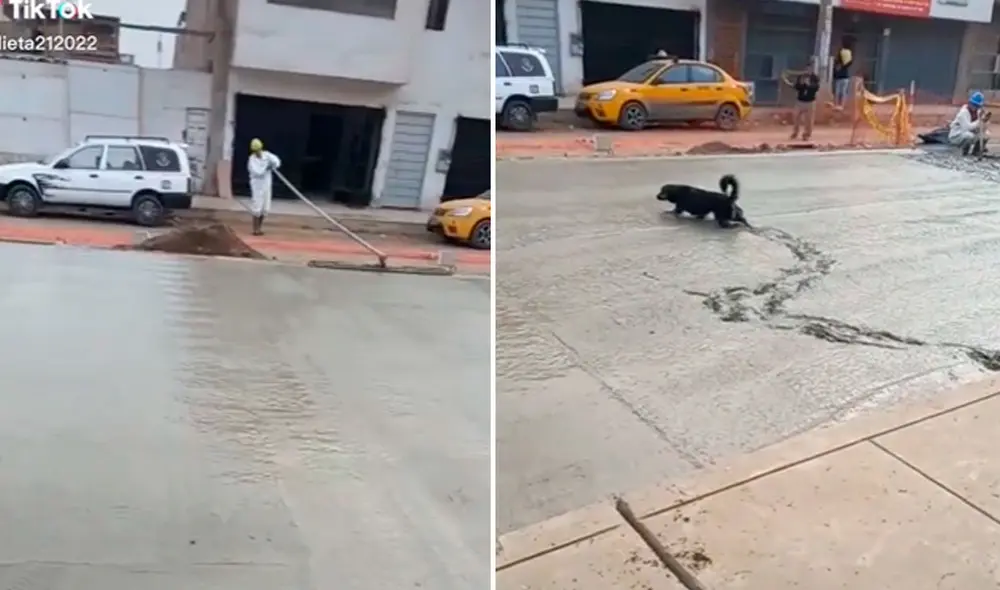 Miles de usuarios han quedado impresionados al ver esta escena. Foto: composición LR/TikTok/@julieta212022