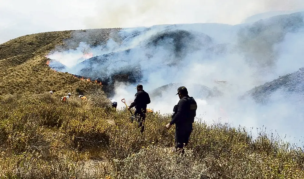 Daños. Durante dos días, las llamas afectaron la flora y fauna. Foto: difusión Daños. Durante dos días, las llamas afectaron la flora y fauna. Foto: difusión