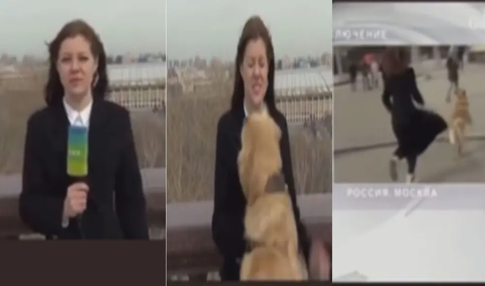 Miles de usuarios no han parado de reír con esta curiosa escena. Foto: composición LR/TikTok/@el_peor_jugador Miles de usuarios no han parado de reír con esta curiosa escena. Foto: composición LR/TikTok/@el_peor_jugador