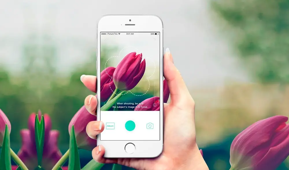 Picture This está disponible en Android e iOS. Foto: WWWhat's new Picture This está disponible en Android e iOS. Foto: WWWhat's new
