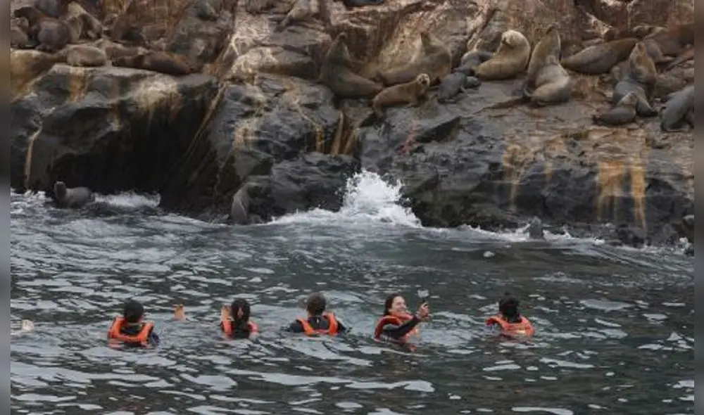 Es ideal pasar tiempo en el Callao ya que está a pocos kilómetros de Lima y no se requiere de mucho presupuesto. Foto: Andina Es ideal pasar tiempo en el Callao ya que está a pocos kilómetros de Lima y no se requiere de mucho presupuesto. Foto: Andina