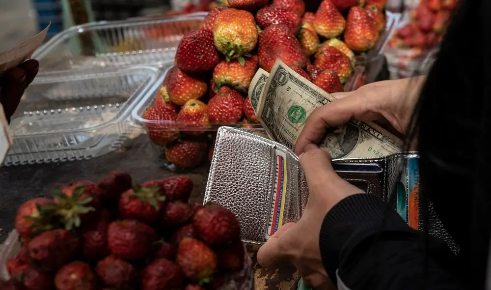 A cómo amaneció el precio del dólar en Venezuela hoy, martes 30 de agosto de 2022, según el mercado oficial y el mercado paralelo. Foto: AFP