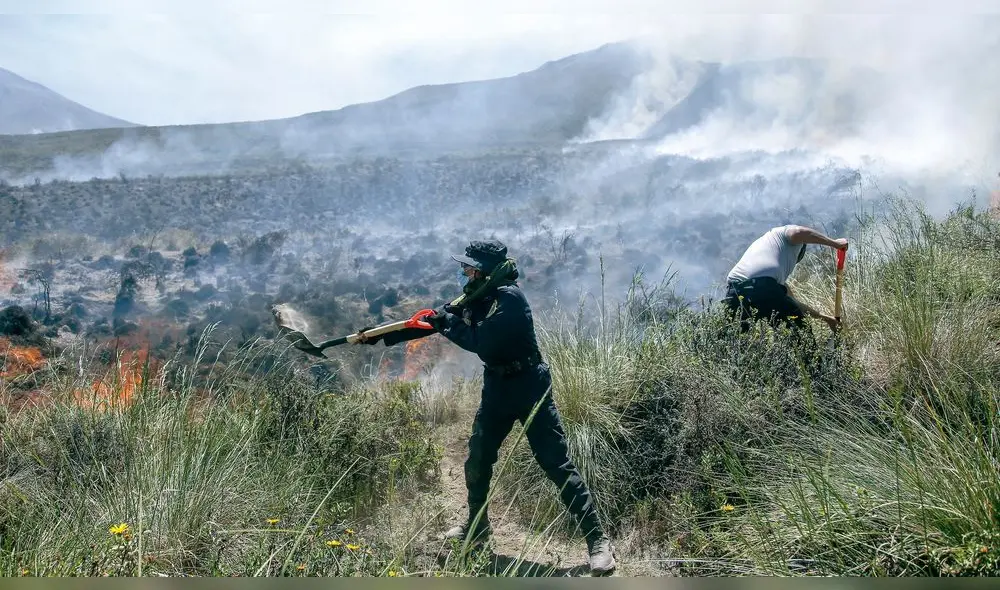 Efectos. La flora arrasada puede demorar en promedio cuatro años en recuperarse, pero depende de otros factores como las lluvias. Foto: Cortesía