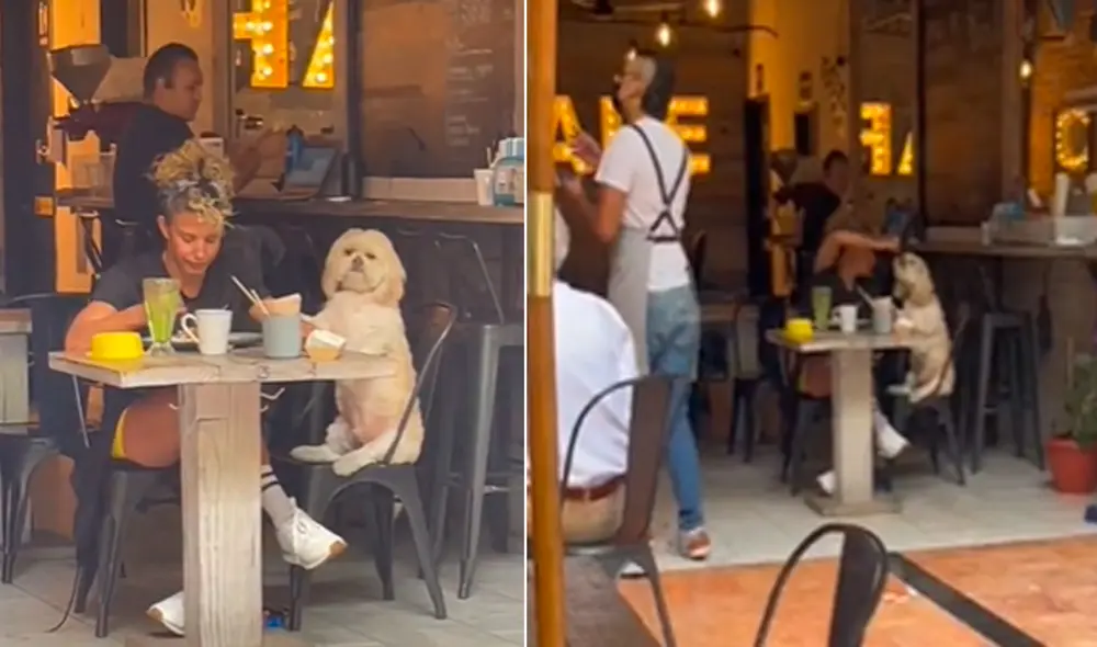 Miles de usuarios han quedado cautivados al ver esta tierna escena. Foto: composición LR/TikTok/@ferzulielbandido