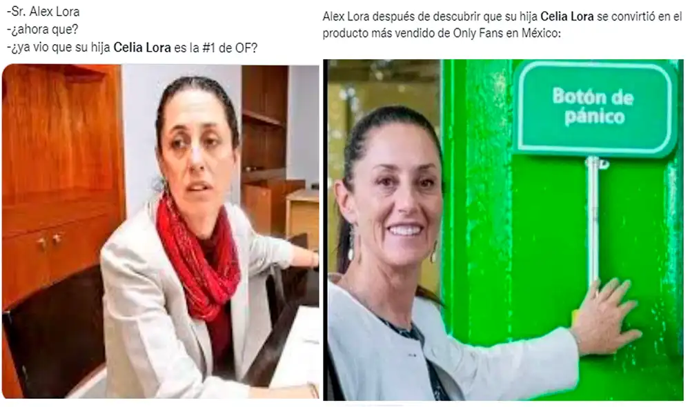 Celia Lora se volvió tendencia rápidamente en Twitter generando diversos memes y reacciones. Foto: composición LR/Twitter Celia Lora se volvió tendencia rápidamente en Twitter generando diversos memes y reacciones. Foto: composición LR/Twitter
