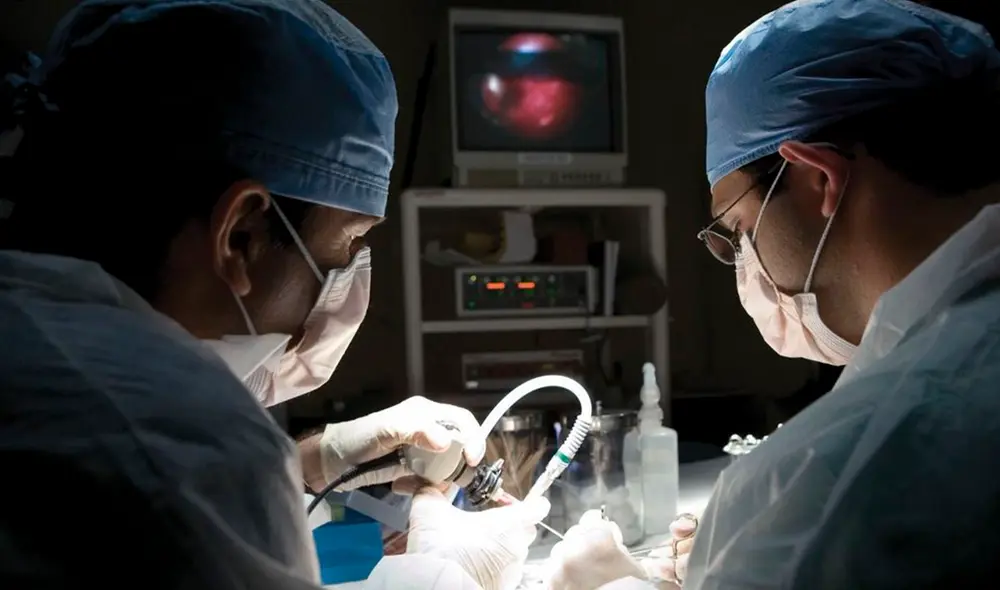 El médico encargado afirmó que el bebé no se había desarrollado por completo y que pesaba 1,04 kilos. Foto: El Observador.