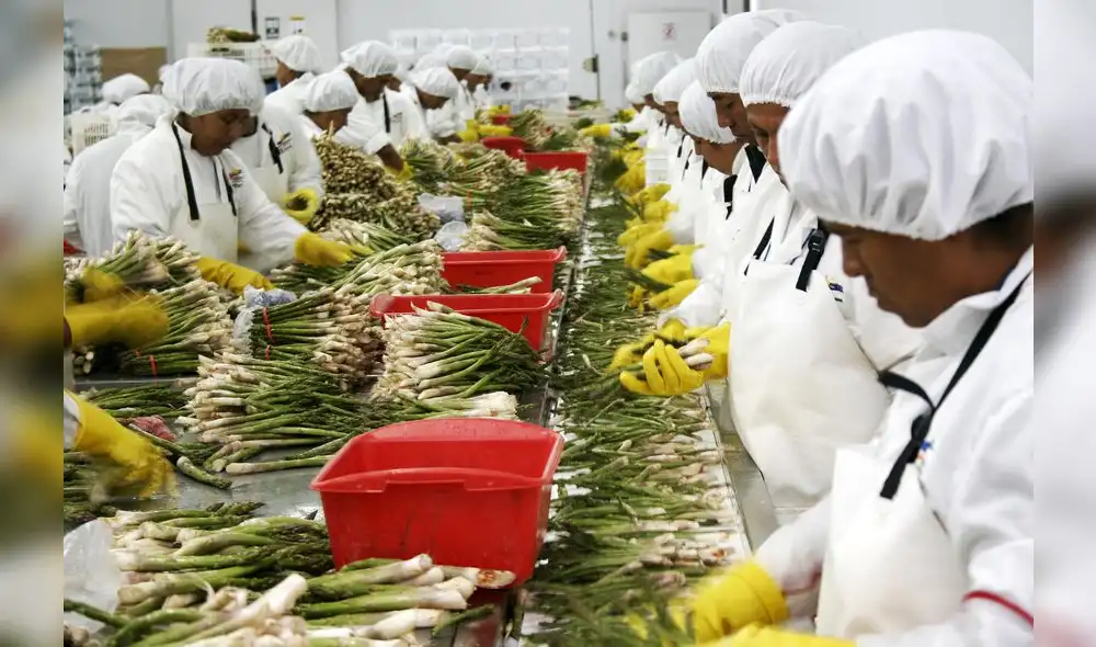 Equipo de trabajo contará con la participación de entidades públicas y privadas. Foto: Mincetur