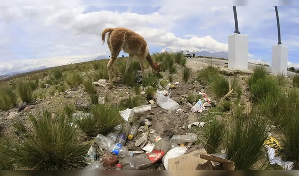 Personas no respetan área de reserva. Foto: Sernanp