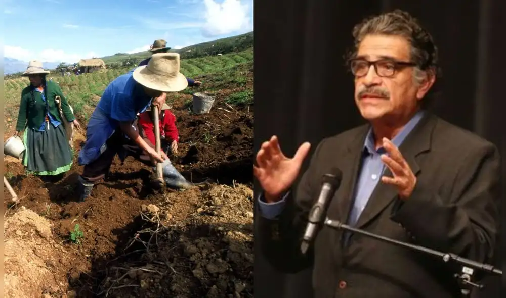 El Midagri aún no firma contrato para la compra de urea. Foto: composición LR/ Andina.