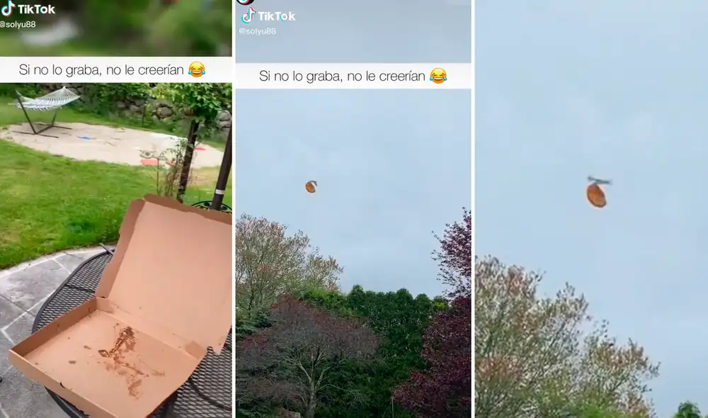 La paloma se marchó con la pizza de la pareja, lo que sacó más de una sonrisa en redes sociales. Foto: composición LR/captura de TikTok/@Solyu88