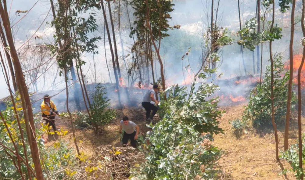 El siniestro se inició después de la 1.00 p. m. y de acuerdo con los últimos reportes aún no ha sido controlado. Foto: COER Áncash