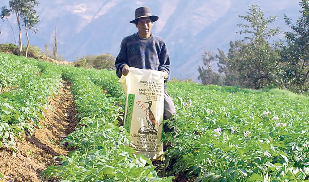 Campaña incierta. Empresa elegida en la tercera convocatoria es la italiana Union Speed SRL, tras la descalificación de Ready Oil Solutions por irregularidades. Campaña incierta. Empresa elegida en la tercera convocatoria es la italiana Union Speed SRL, tras la descalificación de Ready Oil Solutions por irregularidades.