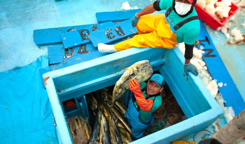 Pescadores artesanales buscan culminar con el proceso de formalización de la flota. Foto: Erin Skoczylas/SFP