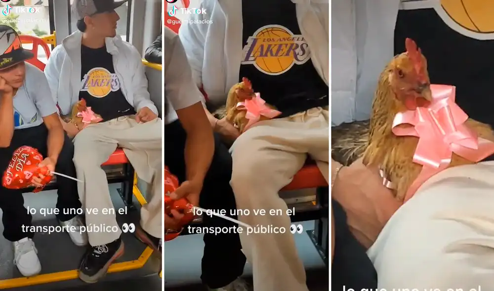 La publicación ya ha logrado más de 1,2 millones de visualizaciones. Foto: composición LR/captura de TikTok/@GuelmiPalacios La publicación ya ha logrado más de 1,2 millones de visualizaciones. Foto: composición LR/captura de TikTok/@GuelmiPalacios