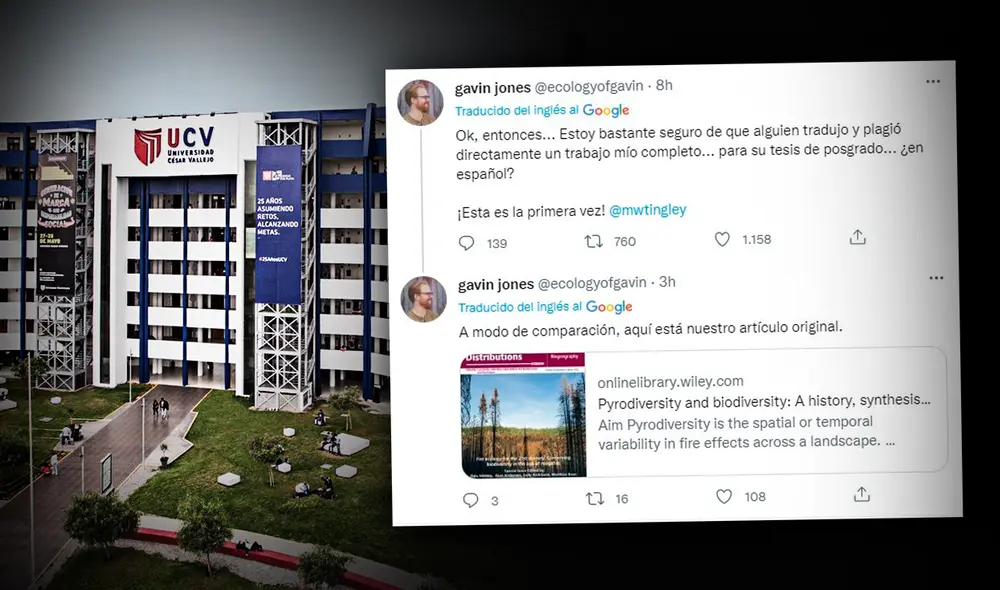 Foto: composición de Fabrizio Oviedo/La República/captura de Twitter/@ecologyofgavin