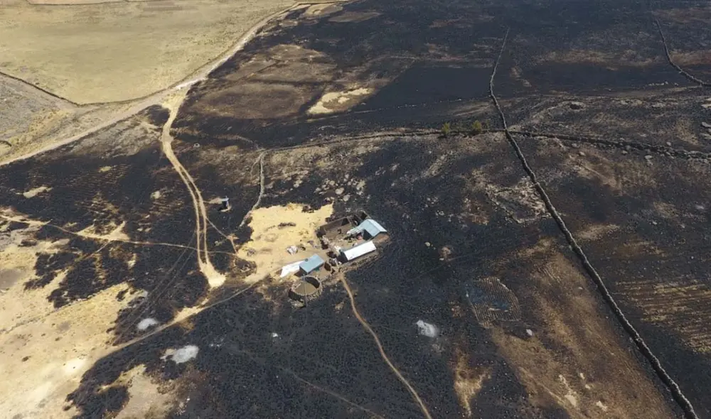 Dos familias quedaron damnificadas y 6 afectadas. Foto: Gobierno Regional Puno Dos familias quedaron damnificadas y 6 afectadas. Foto: Gobierno Regional Puno