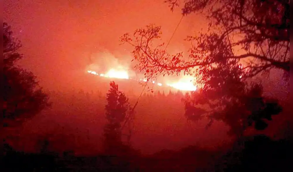 Sin control. LLamas arrasaron con 200 has. de bosques. Foto: Cortesía Sin control. LLamas arrasaron con 200 has. de bosques. Foto: Cortesía