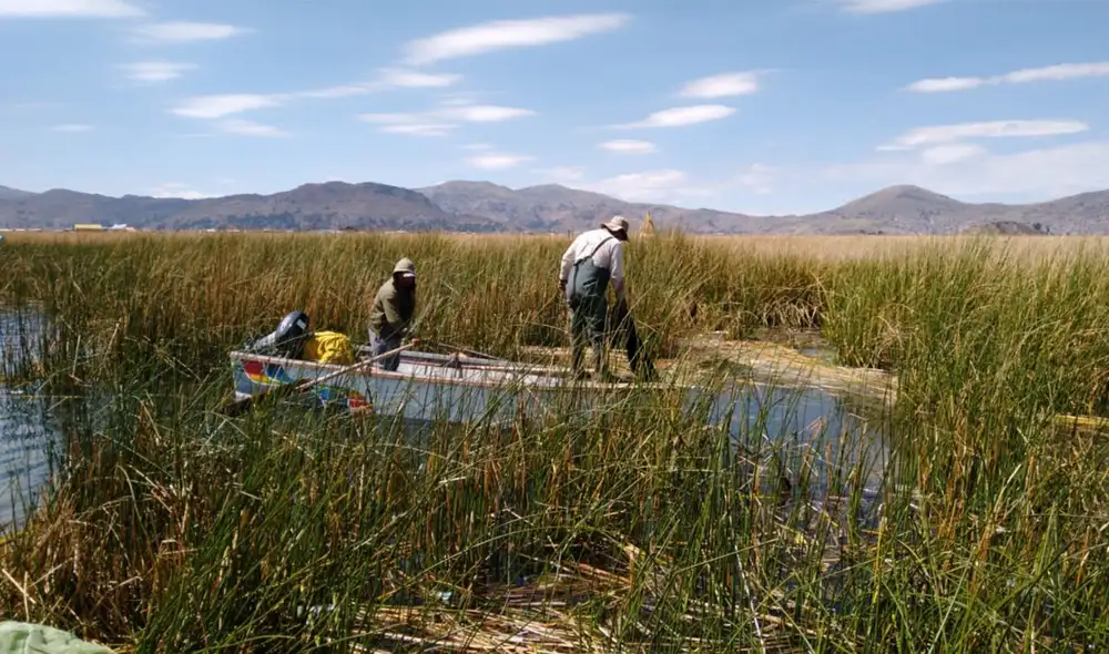 Se tomaron muestras en el lago Titicaca. Foto: UNMSM Se tomaron muestras en el lago Titicaca. Foto: UNMSM