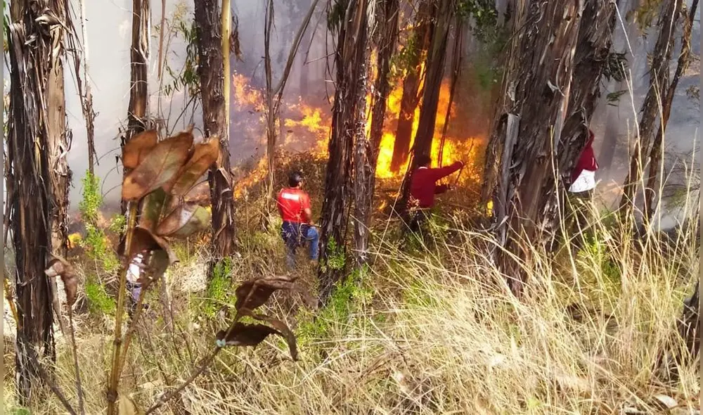 La mayoría de los incendios forestales se registraron en la sierra de Áncash. Foto: COER Áncash