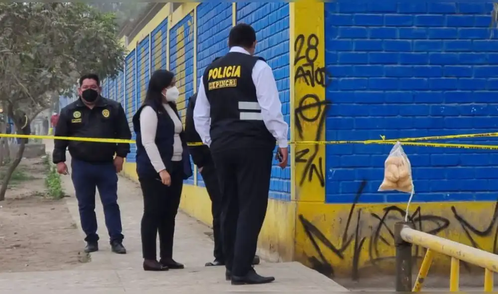 Vecinos señalaron que esta zona es muy insegura, por lo que pidieron mayor vigilancia en el distrito y la instalación de casetas de Serenazgo. Foto: URPI/LR