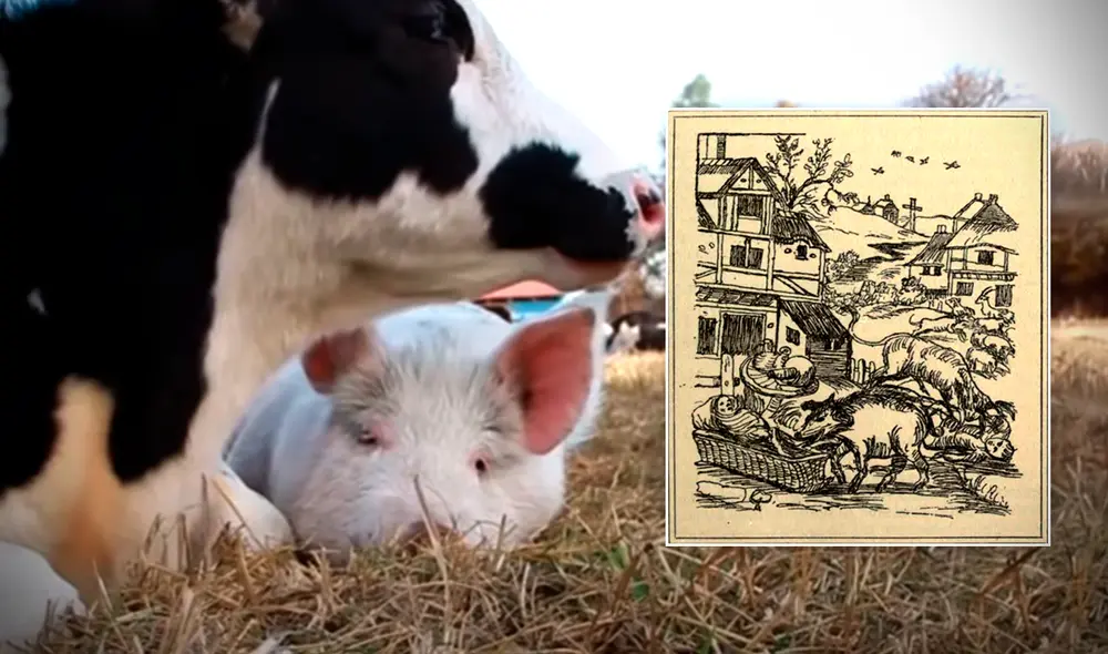 Juicios a animales. Composición: Gerson Cardoso/Santuario Dignidad/Libro "The criminal prosecution and capital punishment of animals"