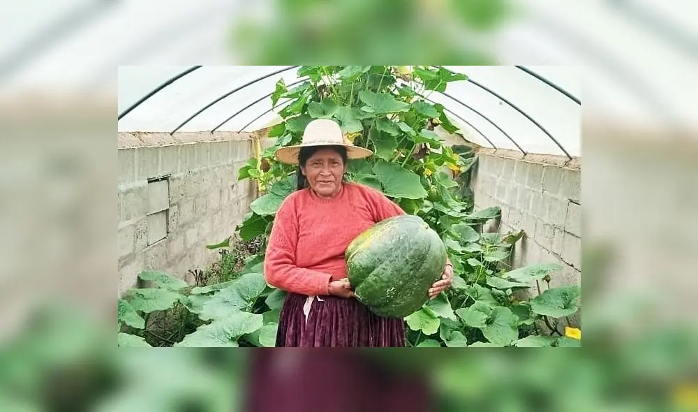 Según el Censo Nacional Agrario (Cenagro), las mujeres productoras agrarias representan el 30% de los productores agrícolas a nivel nacional y 46% en el ámbito rural. Foto: Agro Rural Según el Censo Nacional Agrario (Cenagro), las mujeres productoras agrarias representan el 30% de los productores agrícolas a nivel nacional y 46% en el ámbito rural. Foto: Agro Rural