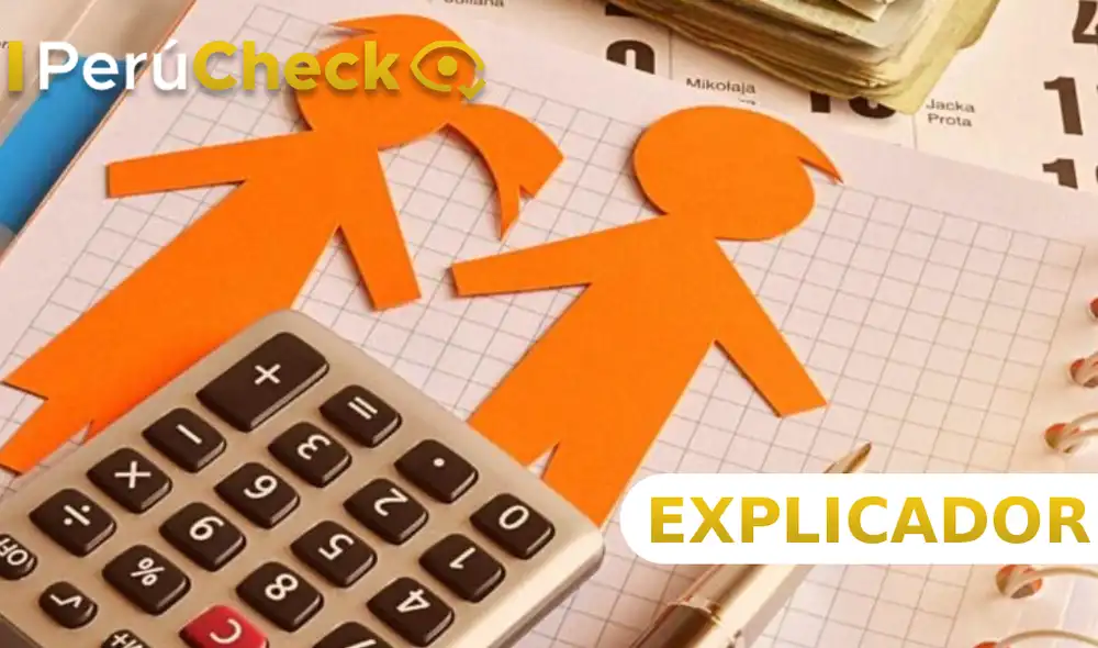 La información sobre deudas de alimentos debe estar consignada en la hoja de vida del candidato. Foto: PerúCheck