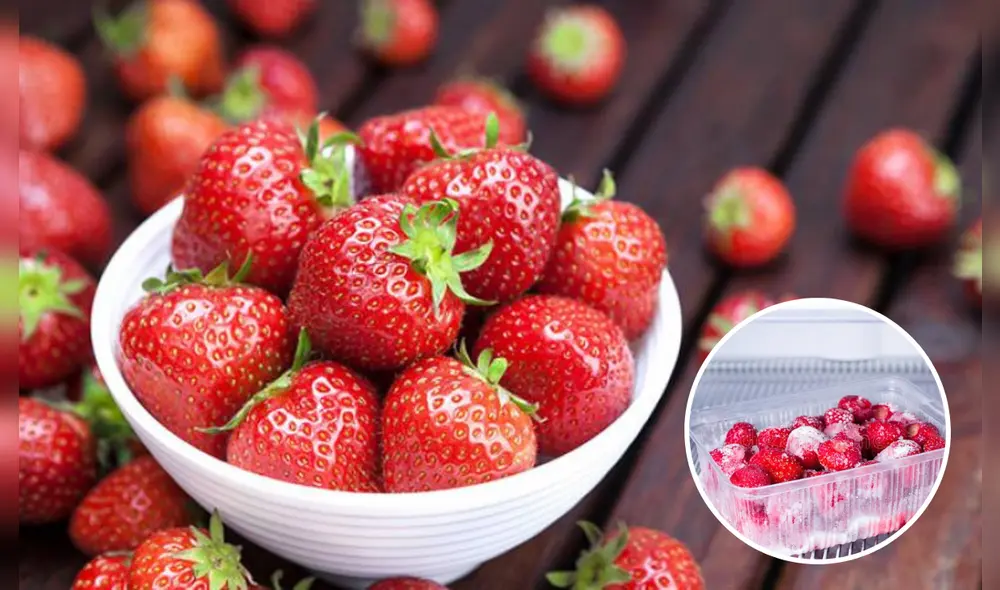 Conoce cómo conservar las fresas con estos 5 trucos caseros. Foto: composición LR/ Sabervivir / Dreamstime