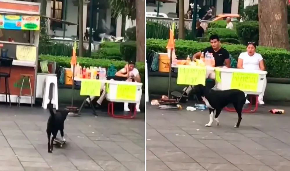 Miles de usuarios no han parado de reír con estas imágenes. Foto: composición LR/TikTok/@carlosdidierr