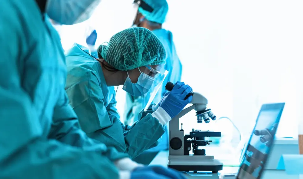 El método científico es un proceso sistemático y lógico que nos permite comprobar si nuestras observaciones sobre el mundo real son verdaderas o falsas. Foto: Adobe Stock El método científico es un proceso sistemático y lógico que nos permite comprobar si nuestras observaciones sobre el mundo real son verdaderas o falsas. Foto: Adobe Stock