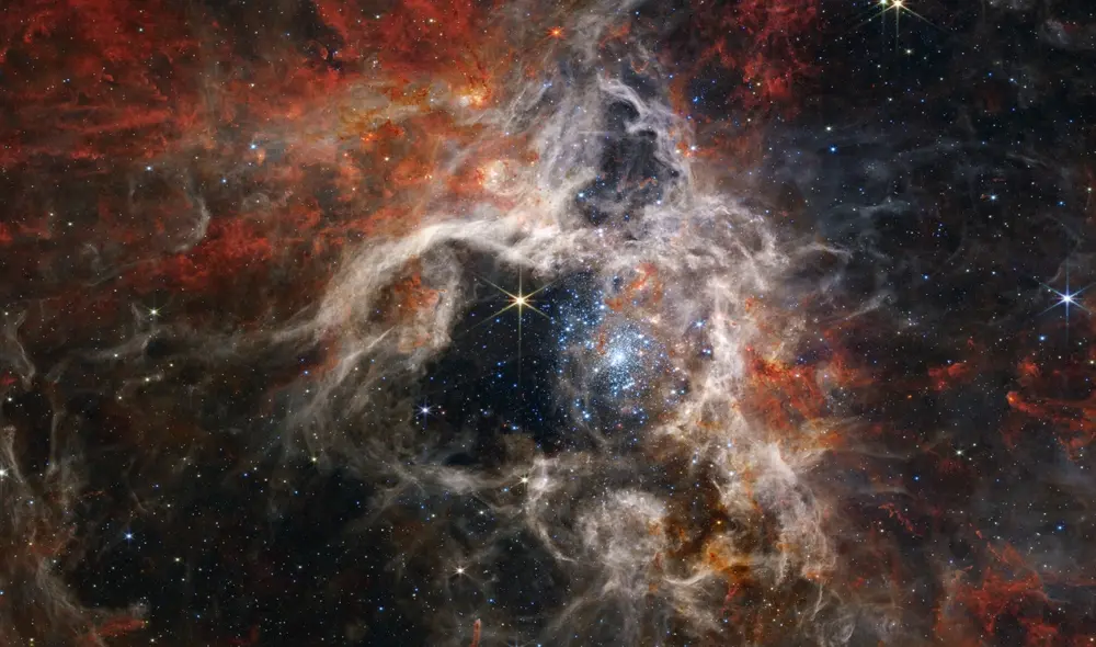 La nueva imagen de la Nebulosa de la Tarántula, que se extiende a lo largo de 340 años luz, revela cientos de miles de estrellas jóvenes en formación. Fue tomada por el instrumento NIRCam del James Webb. Foto: NASA / ESA / CSA / STScl