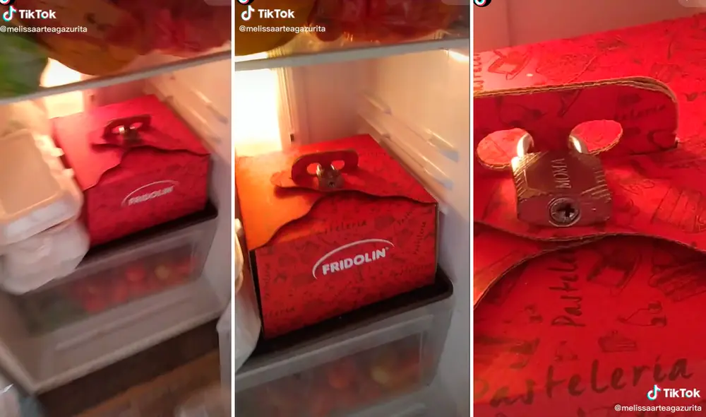 Las imágenes sacaron más de una sonrisa en redes sociales. Foto: composición LR/captura de TikTok/@Melissaarteagazurita Las imágenes sacaron más de una sonrisa en redes sociales. Foto: composición LR/captura de TikTok/@Melissaarteagazurita