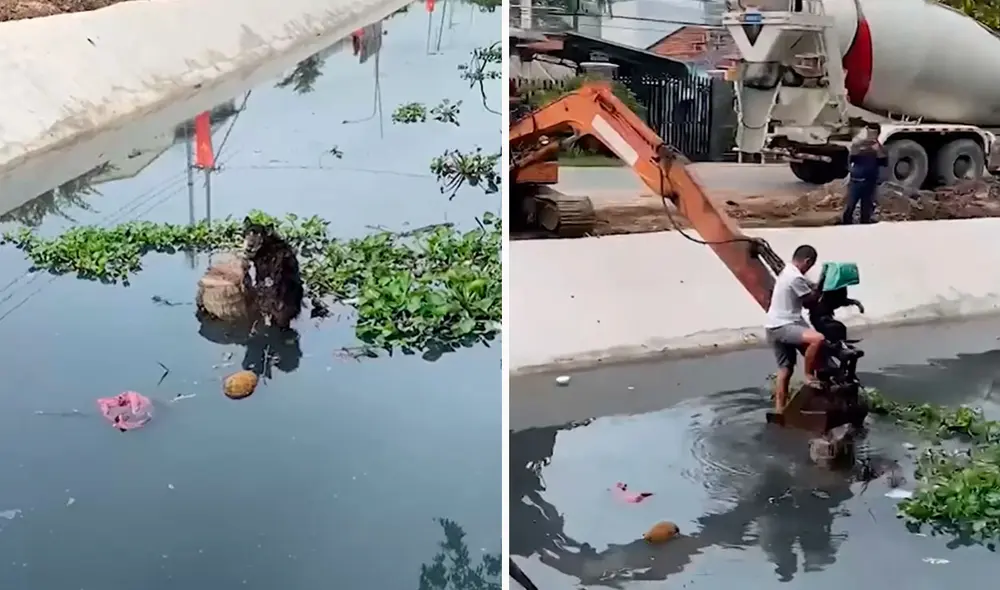 Pese a los riesgos, un hombre se subió a un vehículo de maquinaria pesada para estar cerca del can y ponerlo a buen recaudo. Foto: composición LR/YouTube/Clarín