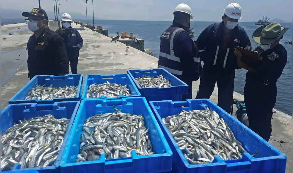 Lo decomisado será donado a la población más vulnerable de la provincial del Santa. Foto: Ministerio Público.