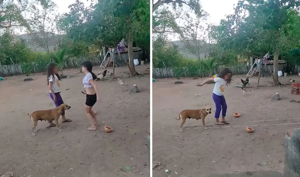 Al final, las pequeñas pasaron un divertido momento en casa gracias al apoyo de su querida mascota. Foto: composición LR/Facebook/Clarín Al final, las pequeñas pasaron un divertido momento en casa gracias al apoyo de su querida mascota. Foto: composición LR/Facebook/Clarín