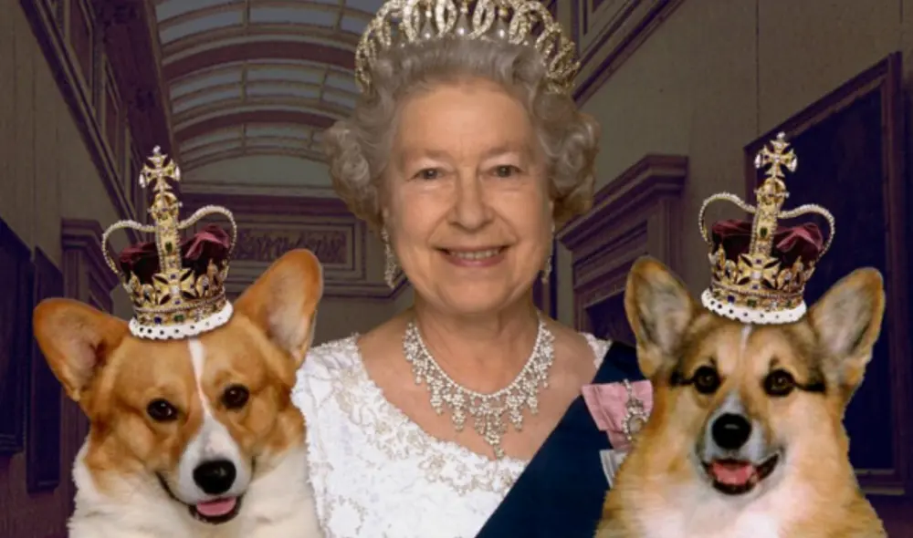 Su padre, Jorge VI, también era un aficionado a esta raza de perros. Foto: difusión